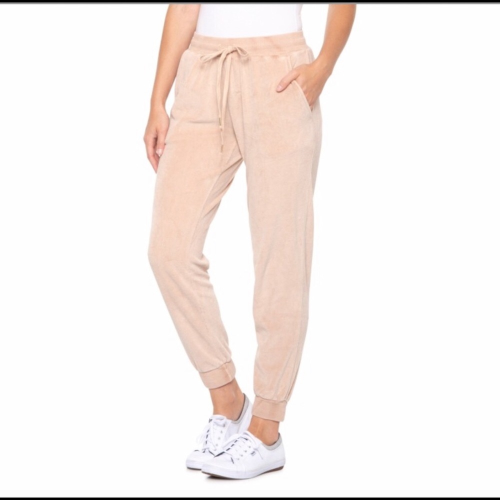 NWT Young, Fabulous & Broke velour joggers size XS